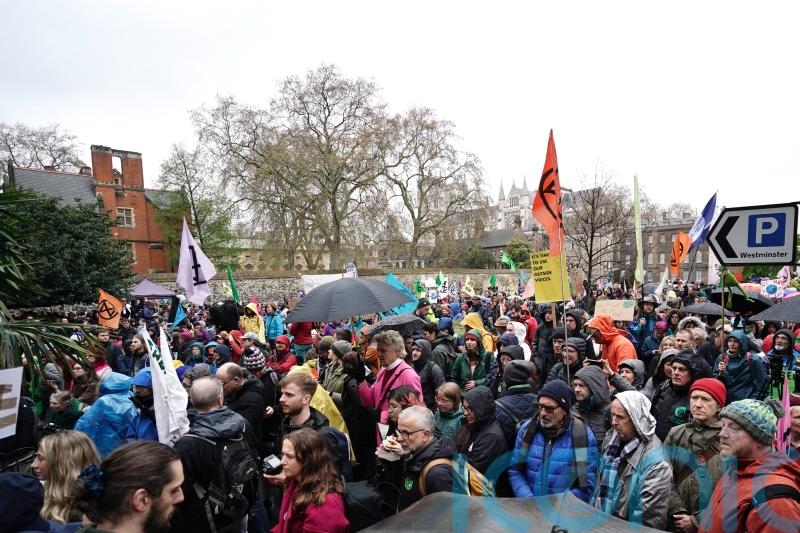 Scientist warns of ‘very scary’ nature decline as green groups unite to protest