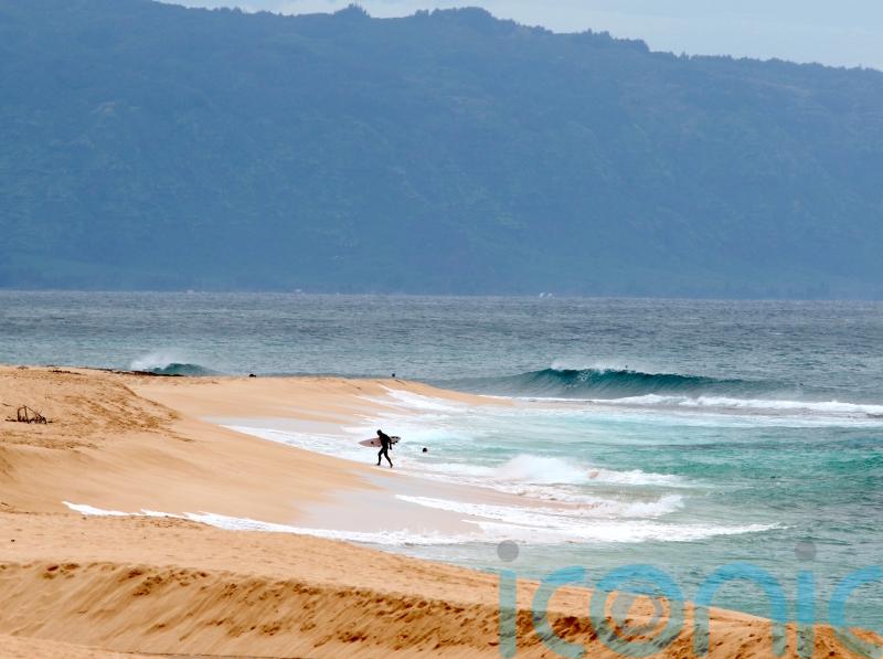 Hawaii lifeguard dies in shark attack while surfing off Oahu
