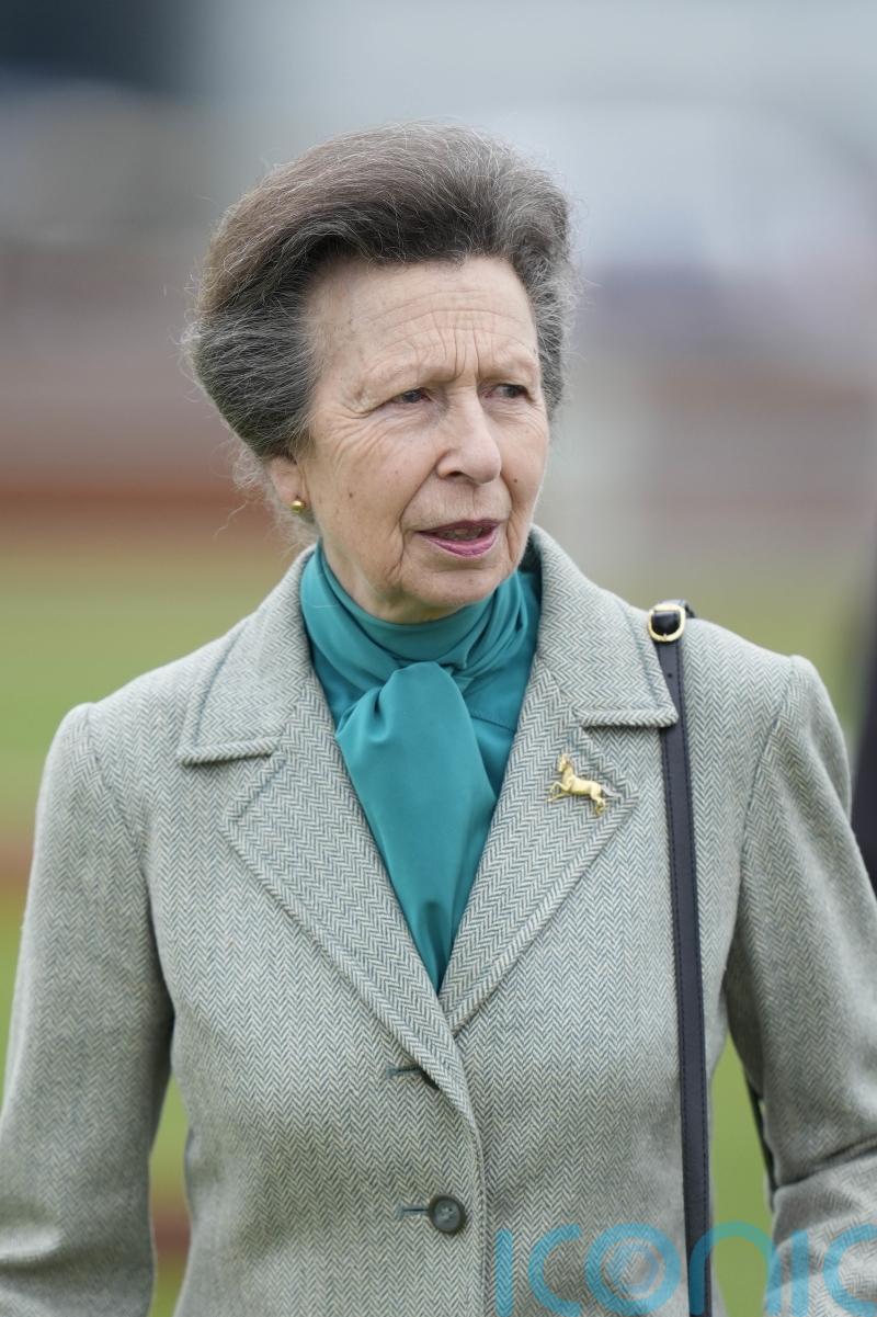 Princess Royal: What is concussion and how is it treated?