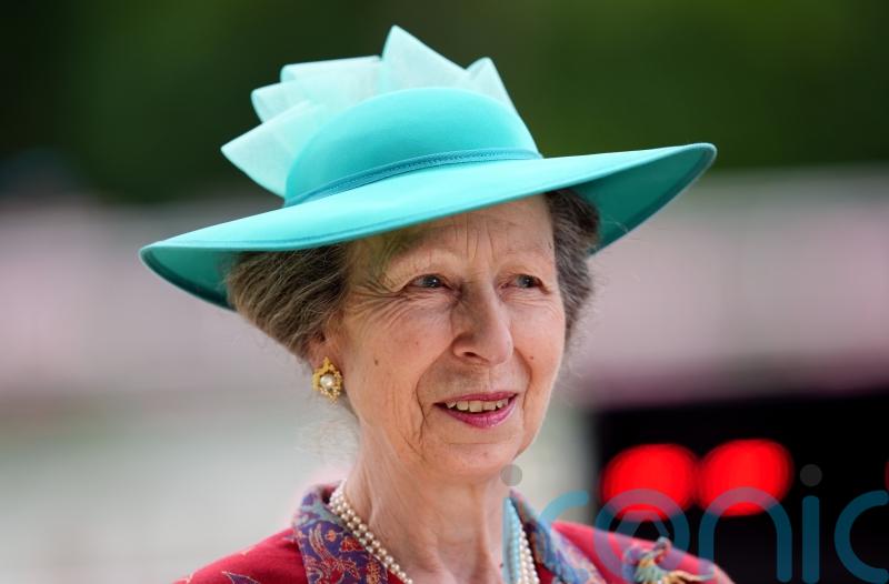 Anne in hospital with concussion after being injured by horse