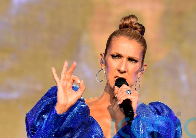 Celine Dion did not want any changes to footage of spasm in film, says director