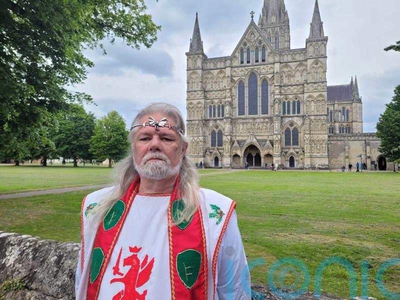 Vote for me as your champion, says senior druid standing to be MP