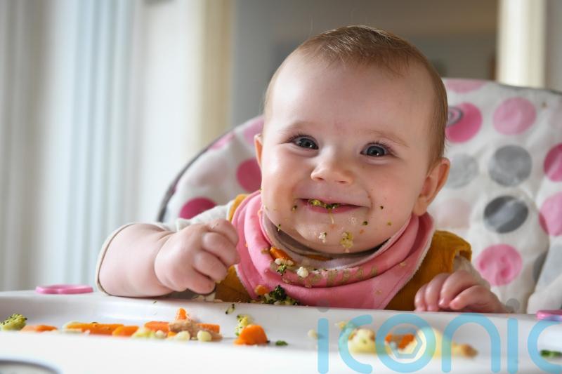 Baby-led weaning &lsquo;provides ample nutrients to support growth and development&rsquo;