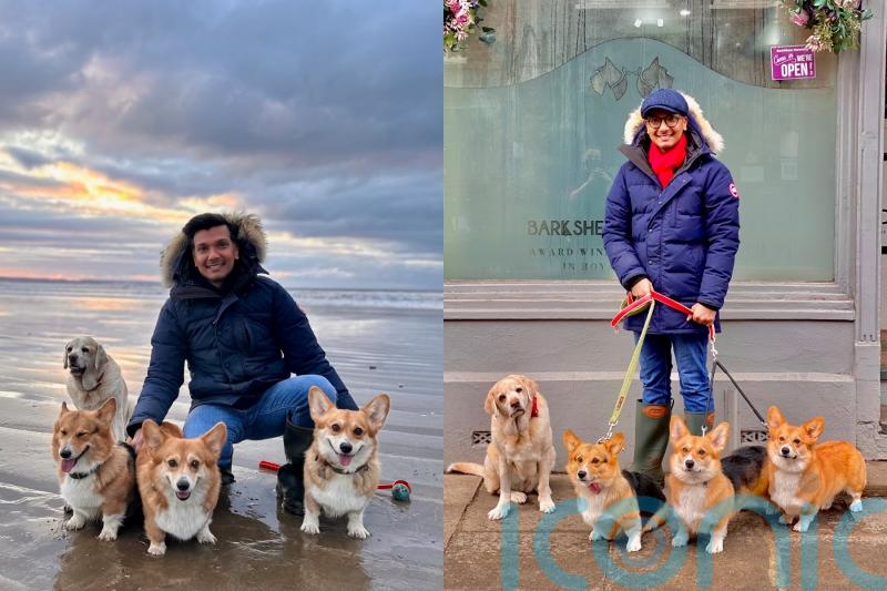 Dog owner claims his corgis are related to the late Queen’s last litter and walks them in Windsor