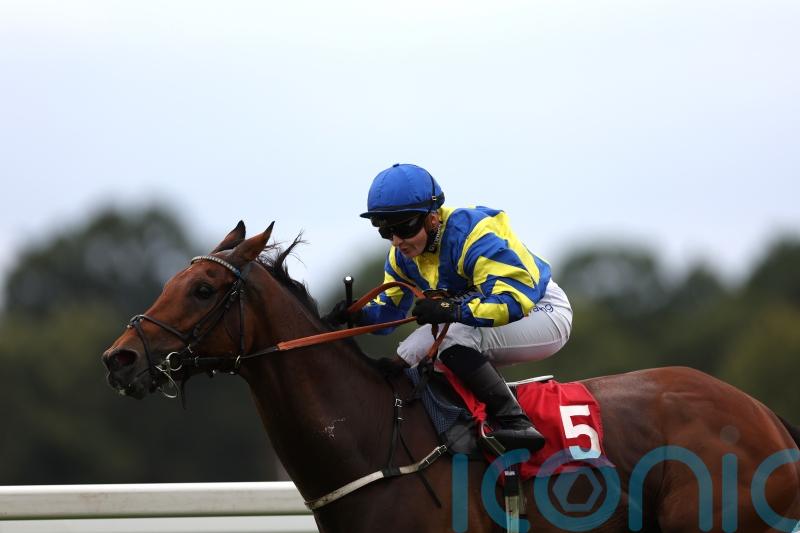 Trueshan returns to top form with classy Sandown strike