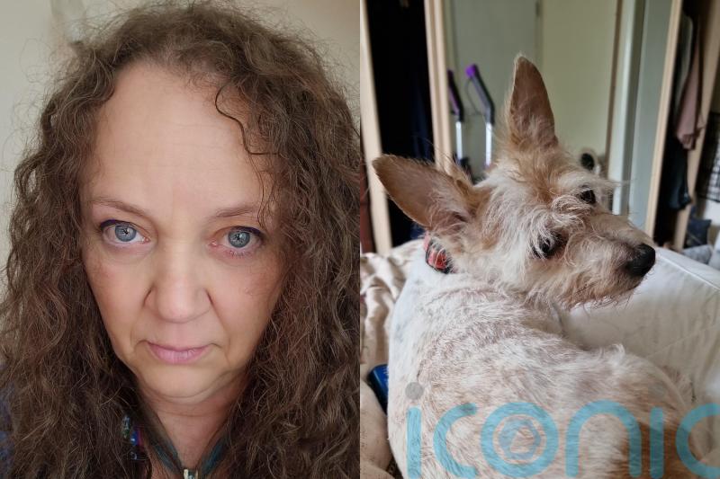 Mother with four dogs facing homelessness snubs temporary housing and looks to buy van after being told no pets allowed