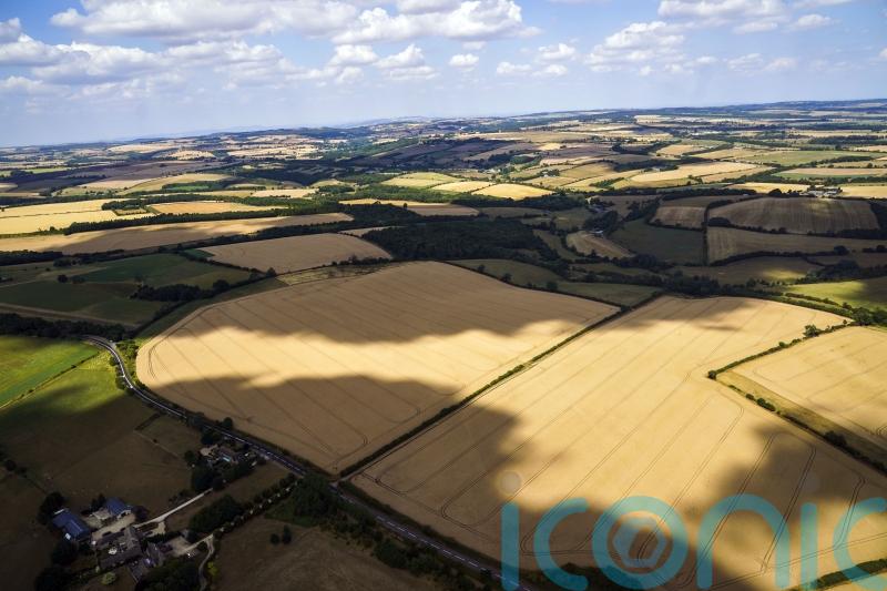 Fate of Thames Water and budget for nature-friendly farming in Labour’s in-tray