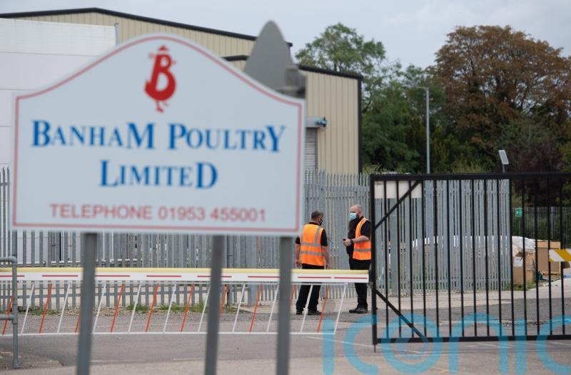Firms in court accused of corporate manslaughter of pest controllers