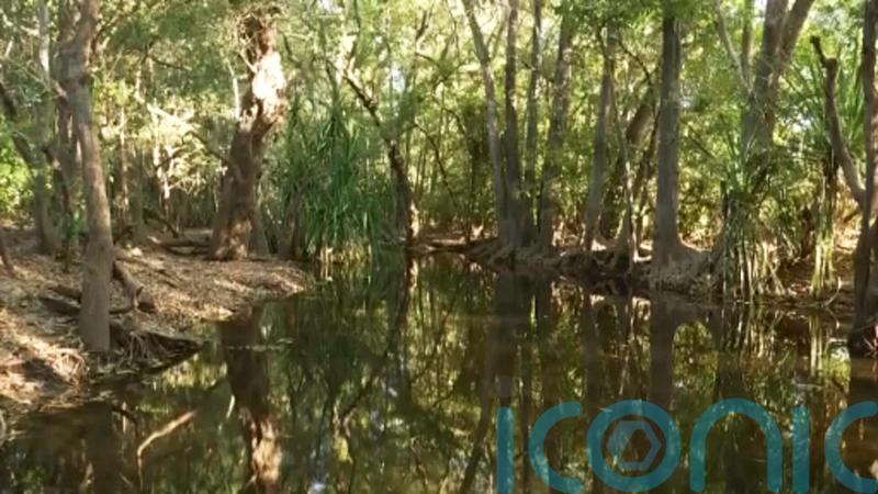 Australian rangers shoot 14ft crocodile that killed girl swimming in creek