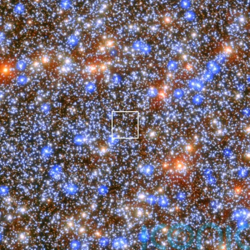 Astronomers find nearest massive black hole – study