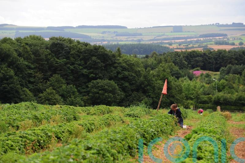 Government should keep offering visas to seasonal workers, advisers say