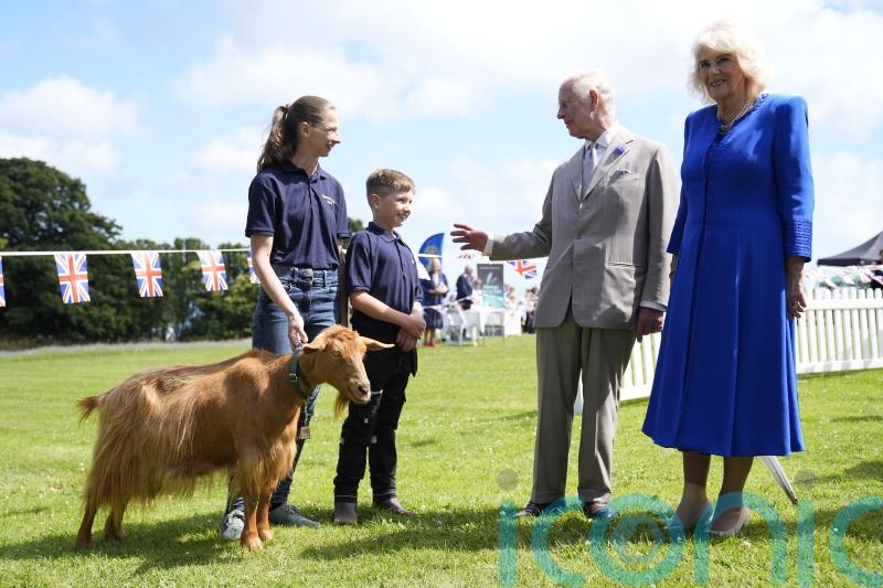 King and Queen grant goat rare royal title as they finish Channel Islands visit