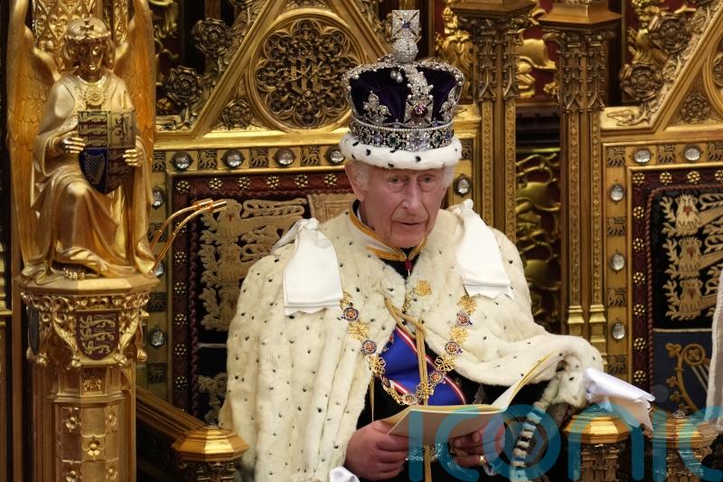 Royal ermine meets buses – Pageantry and politics mix at State Opening