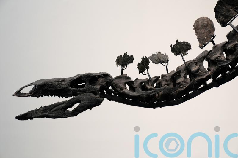 Stegosaurus fossil sets dinosaur auction record with near 45 million dollar sale