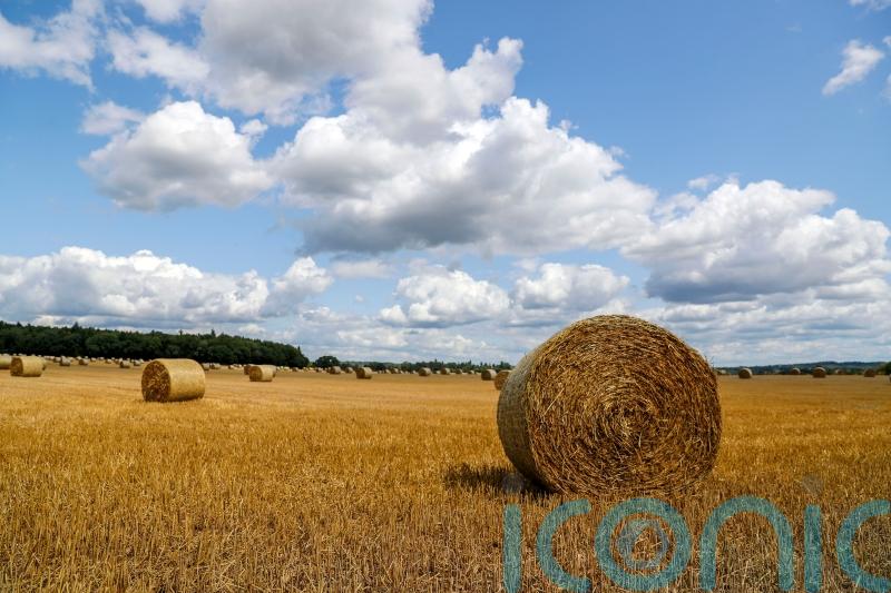 ‘Lost’ five years make farming’s net zero ambition difficult to hit, NFU warns