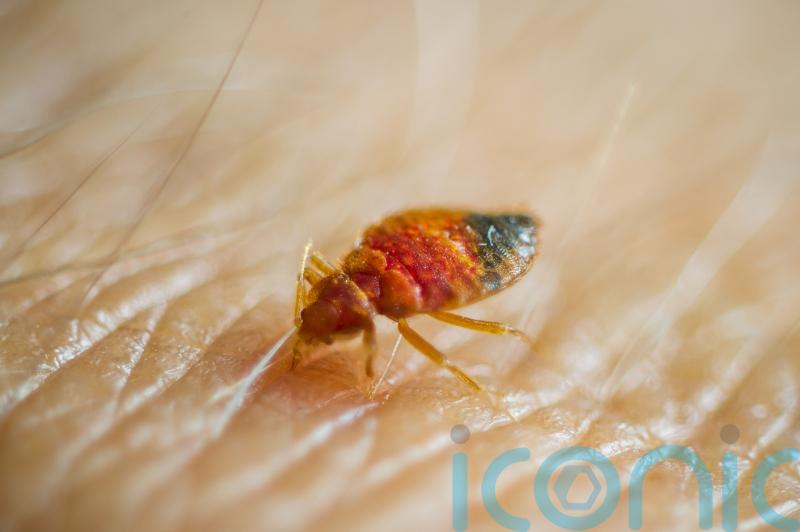 Housewife spared jail after bedbug poison kills girl who lived next door