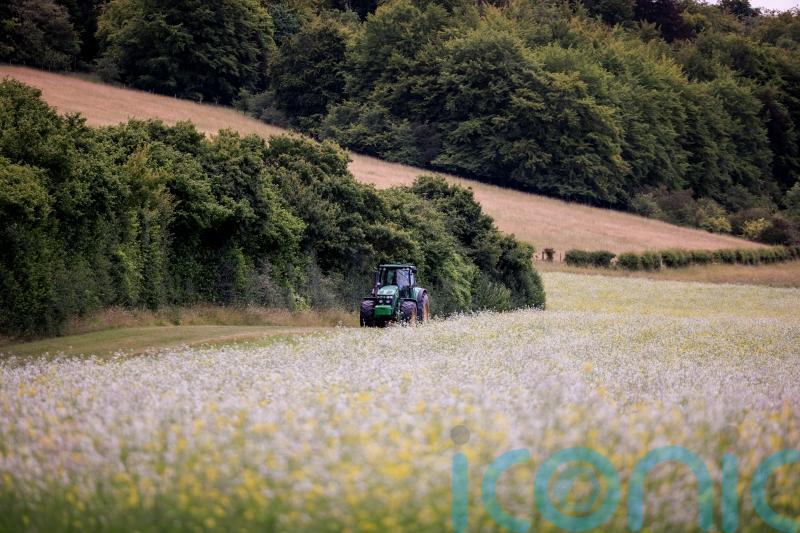 Nature recovery projects to receive £150m National Lottery funding