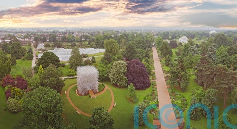 Half of Kew Gardens’ trees may be at risk by 2090 as climate warms – study