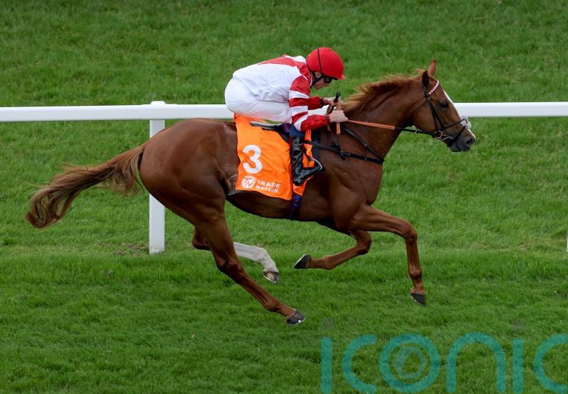 King’s Gambit ‘all set’ for the Knavesmire, with Callum Shepherd booked