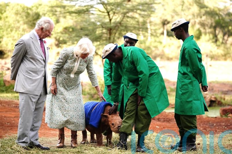 King and Queen’s trip to Kenya tops list of most expensive royal trips