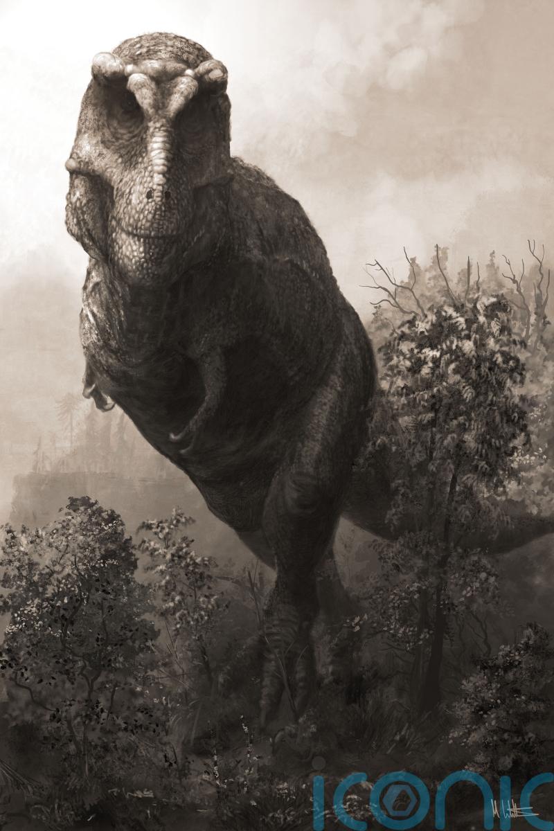 T. rex may have been much heavier and longer than previously thought – study