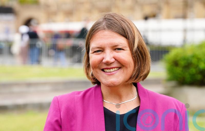 Green MP calls for electronic voting system in Parliament