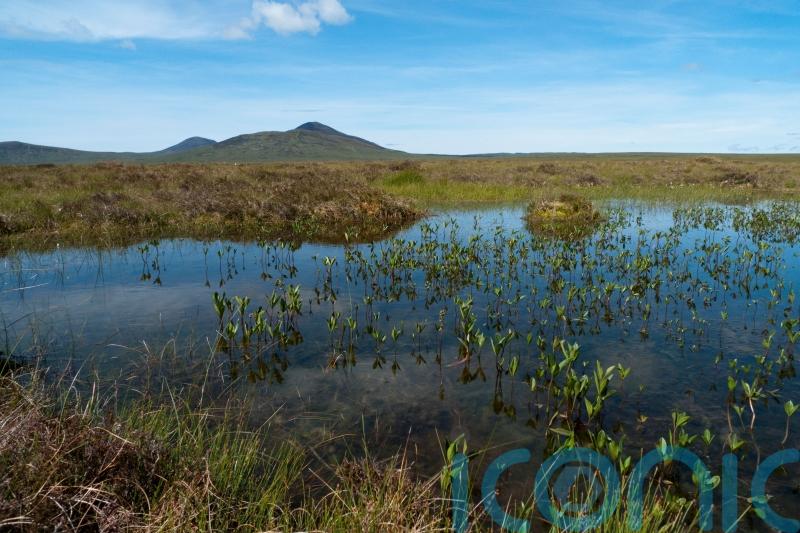 Remote peatland granted world heritage status