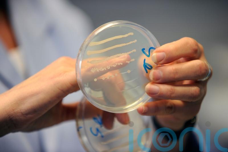 Common mouth bacteria found to ‘melt’ certain cancers in ‘surprising’ discovery