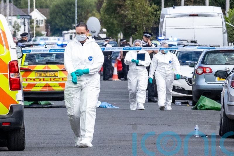 Two children dead and six critical following ‘horror movie’ stabbings