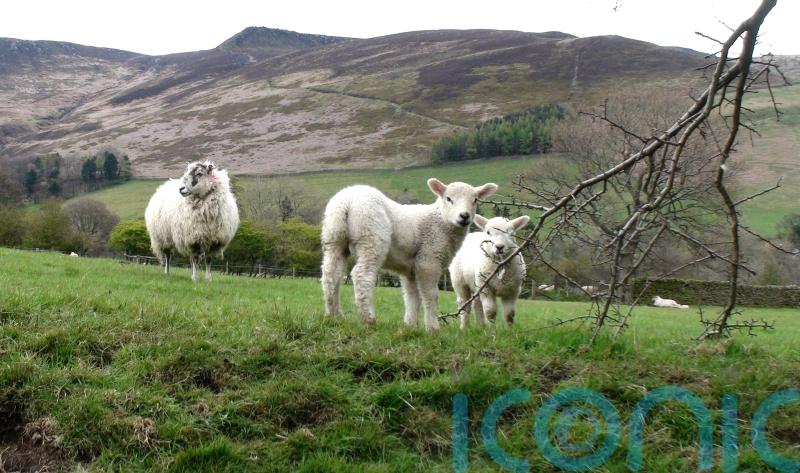 Almost 100 rural seats ‘have less than one hectare of right to roam land’