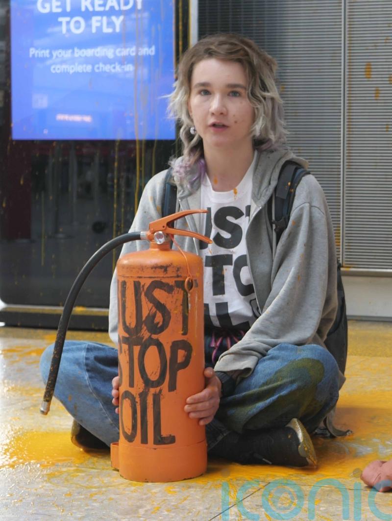 Just Stop Oil activist targets Heathrow five days after van Gogh guilty verdict