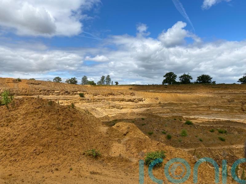 Plant species recorded in Bedfordshire for first time in restored quarry land