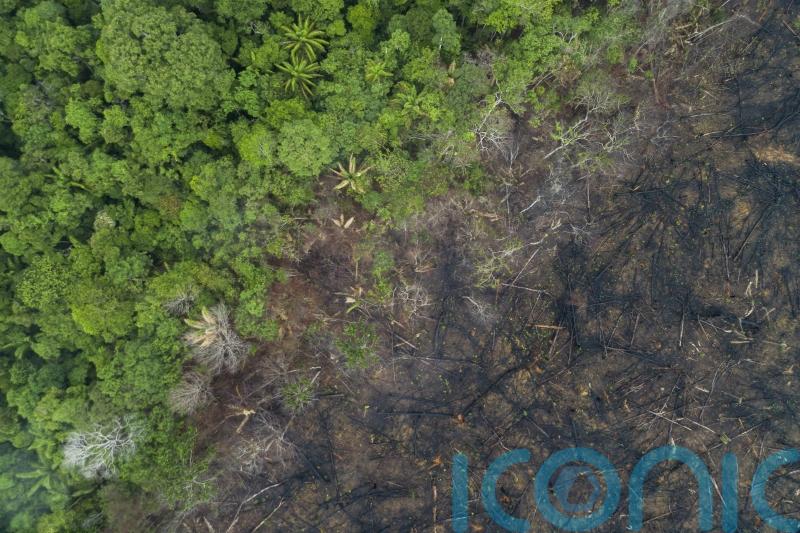 Campaigners call for action on consumption as Earth Overshoot Day arrives