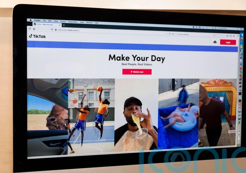 TikTok presenter and historic theme park character among most popular jobs