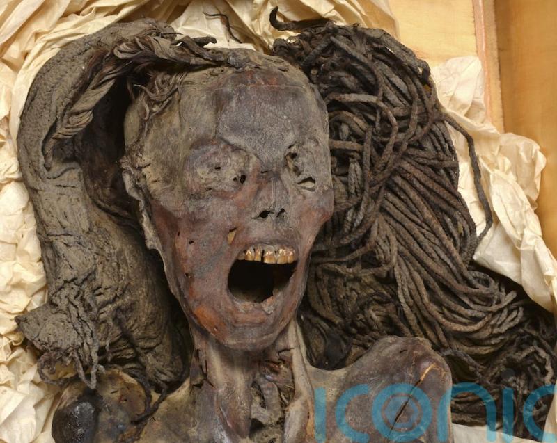 Egyptian Screaming Woman mummy ‘died wailing in pain 3,000 years ago’