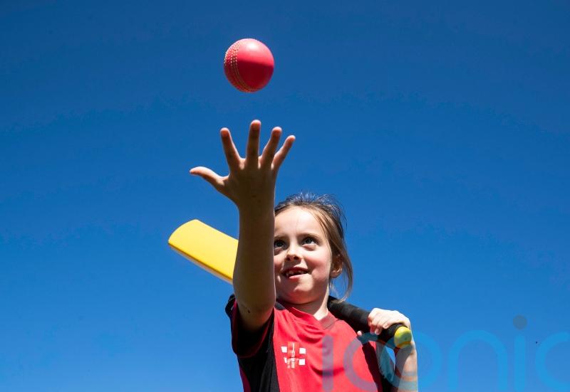 Cricket Scotland chief says new strategy marks &lsquo;significant step forward&rsquo;