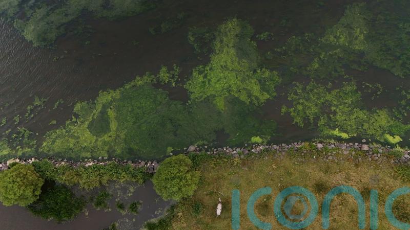 Initiative to find solutions to blue-green algae crisis in Lough Neagh launched
