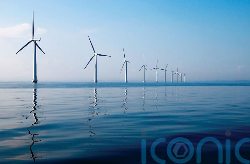 New marine report recommends ‘nature-inclusive design’ for offshore wind schemes