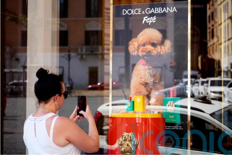 Dolce & Gabbana launches new perfume for dogs