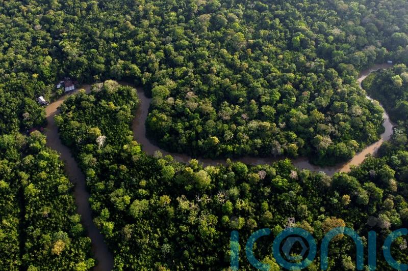 Amazon deforestation in Brazil ‘down to lowest level since 2016’