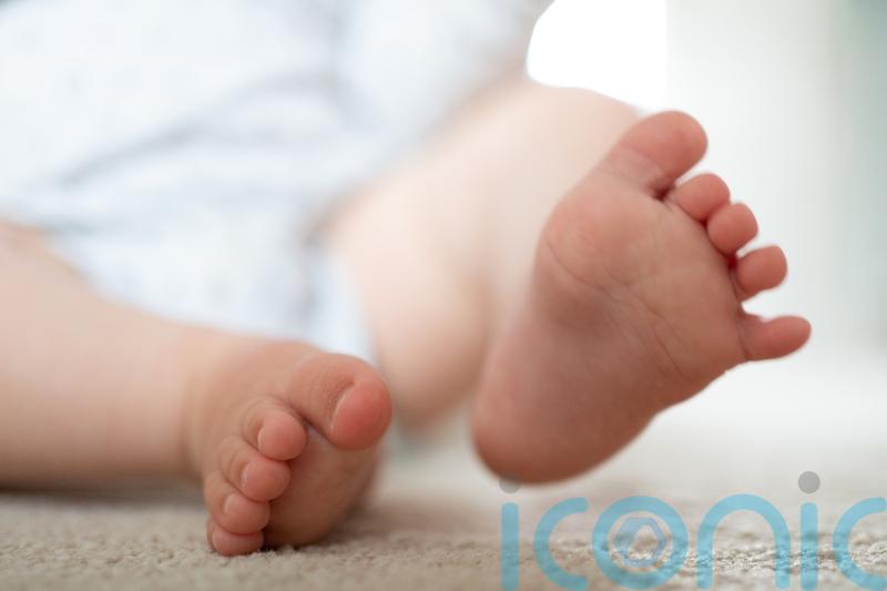 What is whooping cough and why are cases so high?