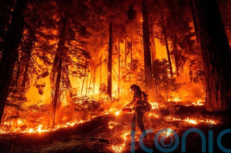 Huge California wildfire burns through timber in hot and dry weather