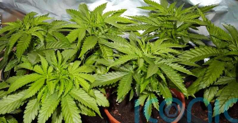 Drugs with street value of more than £1m recovered in raids