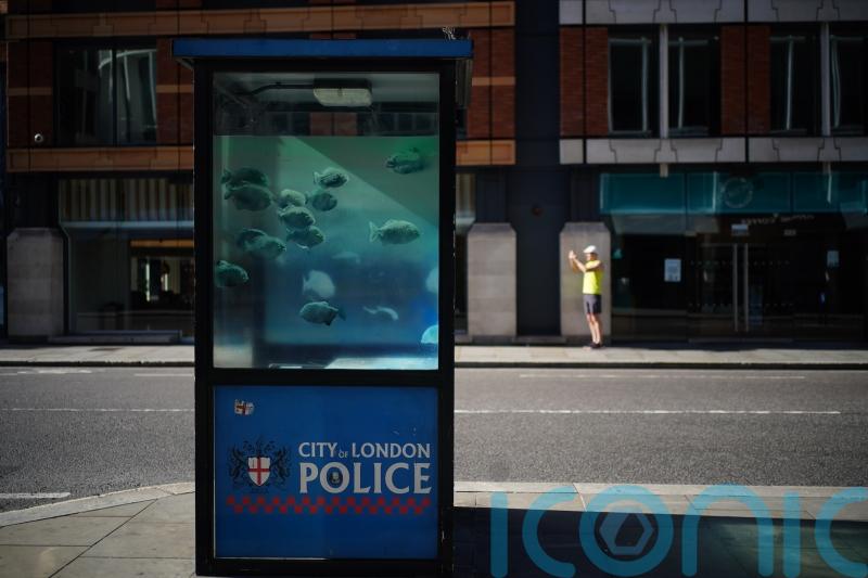 Banksy claims new swimming fish artwork on central London police box