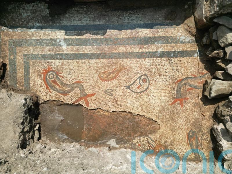 ‘Beautiful’ Roman mosaic depicting dolphins and fish uncovered in Shropshire dig