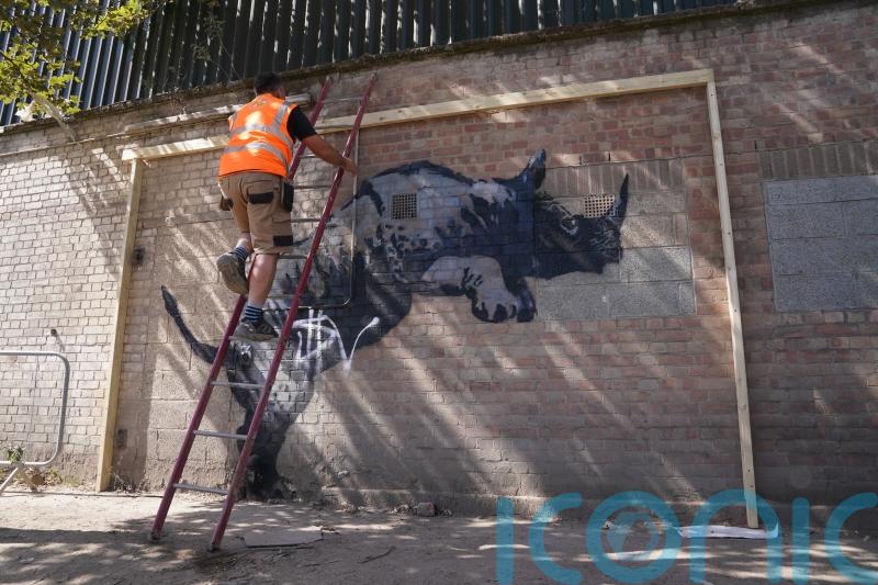 Defacing of Banksy mural by &lsquo;mindless vandal&rsquo; is &lsquo;a real shame&rsquo;, council says