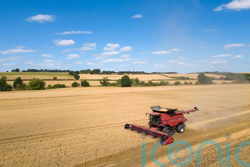 Farming leaders mark ‘self-sufficiency day’ with call to bolster food security