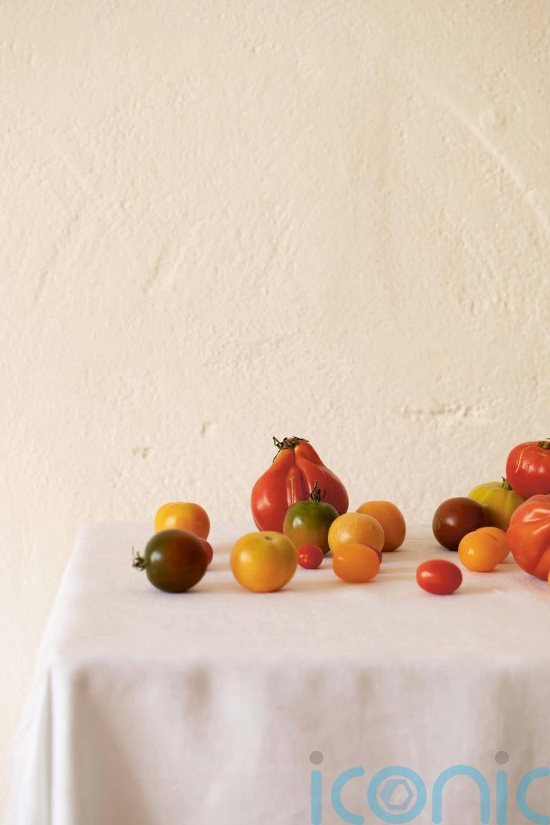 3 new Mediterranean cookbooks to channel holiday vibes at home