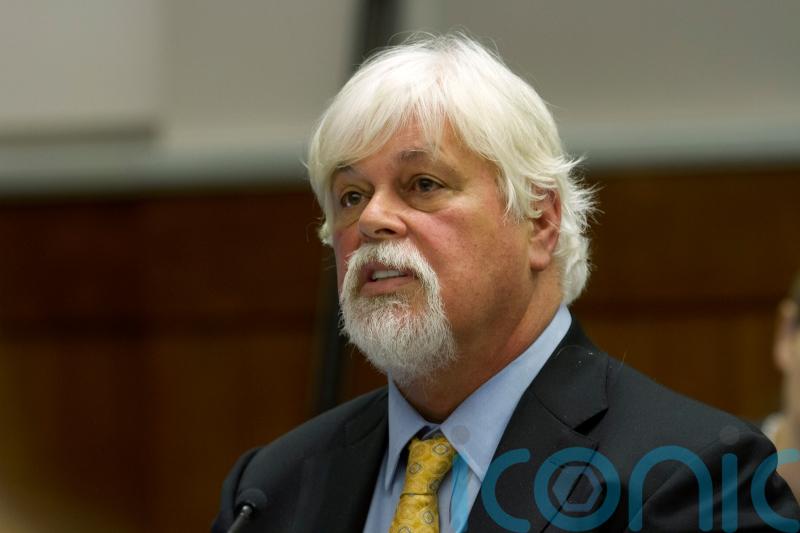 Greenland court orders anti-whaling activist must remain in custody