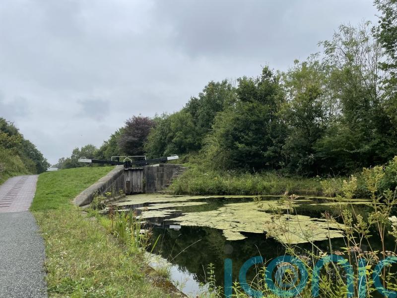 Stretches of canal affected by cyanide spill reopen after safety tests